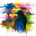 Bird 71 Crow Raven