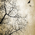 Design 24 Sepia