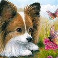 Dog 123 Papillon